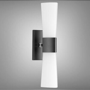 21 In 2-Light Matte Black Etched Opal Glass Modern Bath Vanity Light